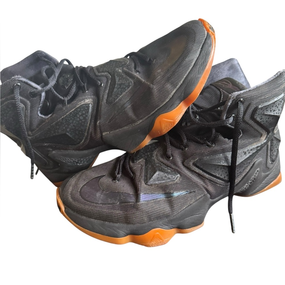 Lebron James black lion size 10